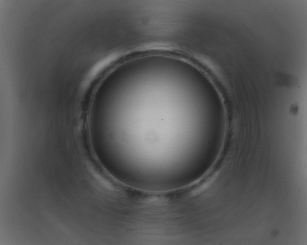 X0000093101406200710101528