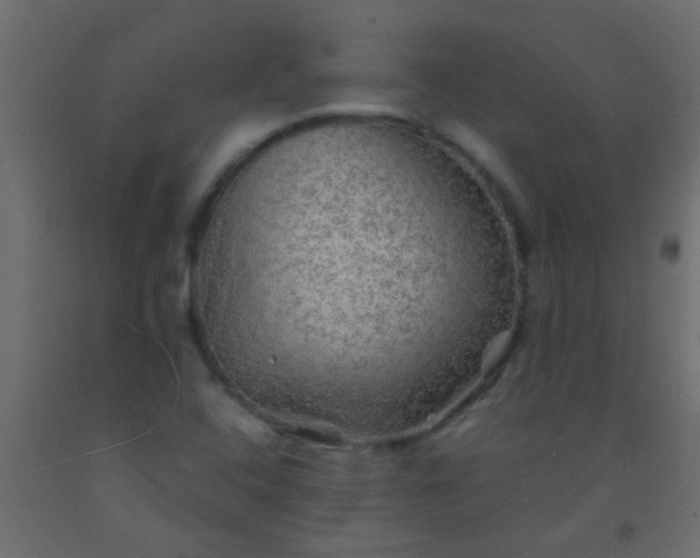 X0000093101408200710101528
