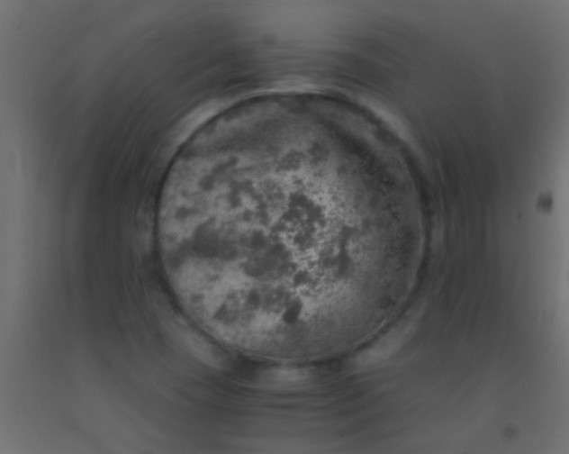 X0000093101409200710101528