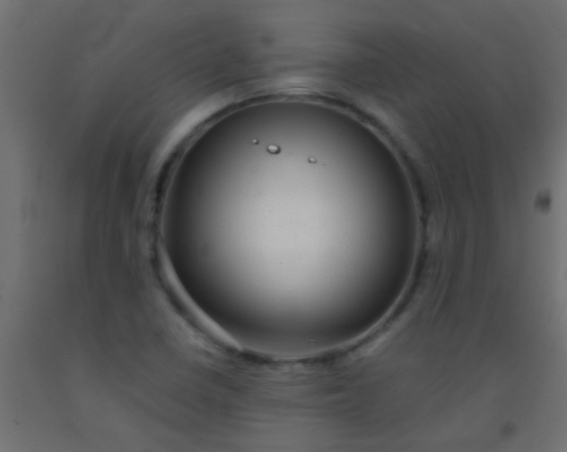 X0000093101410200710101528