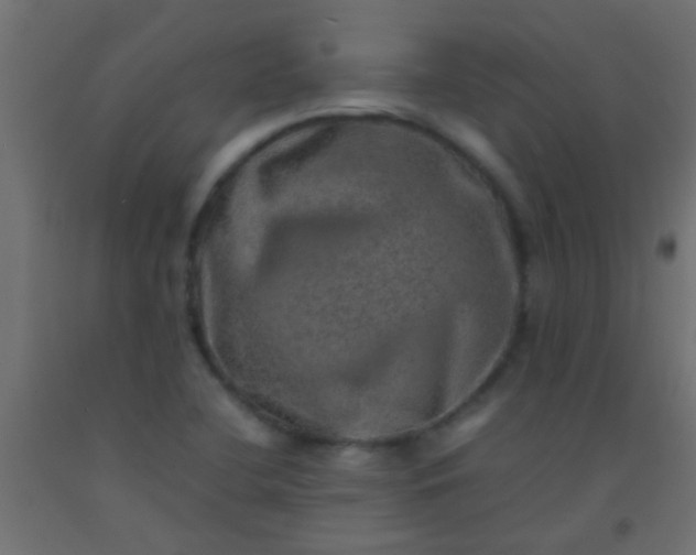 X0000093101412200710101528