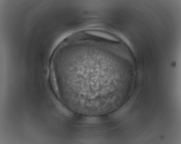 X0000093101413200710101528