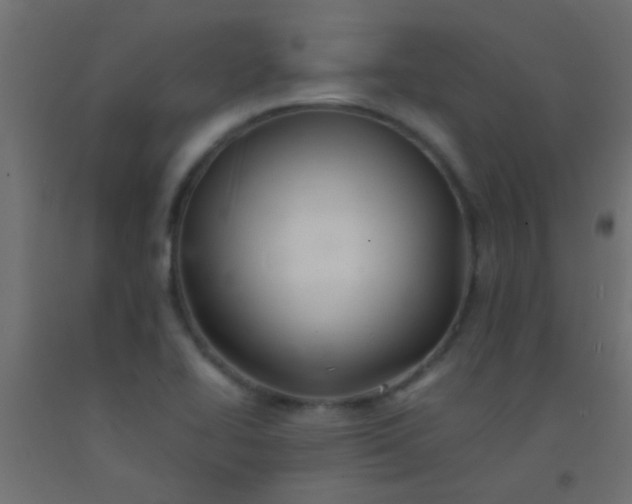 X0000093101414200710101528