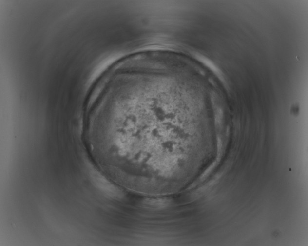 X0000093101415200710101528