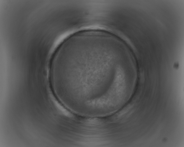 X0000093101416200710101528