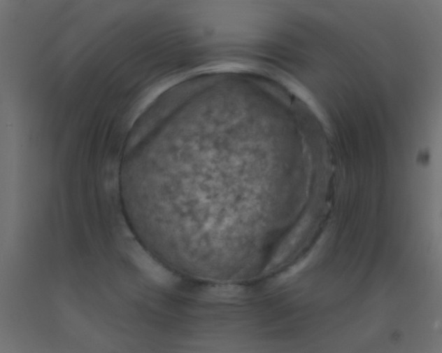 X0000093101417200710101528