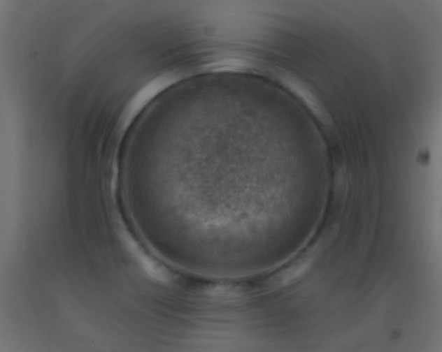 X0000093101418200710101528