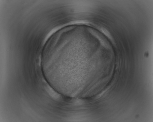 X0000093101420200710101528