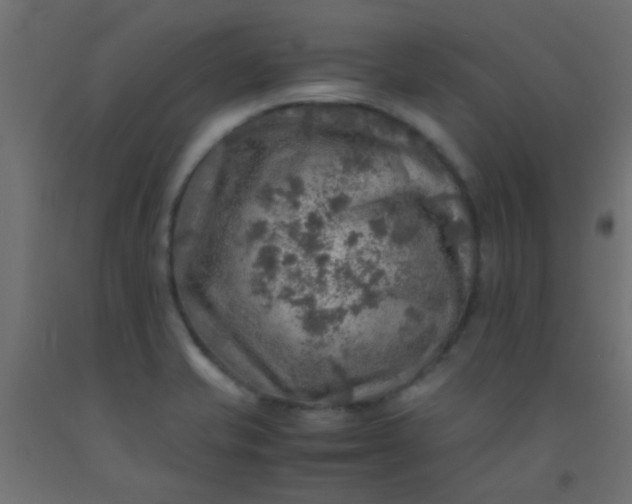 X0000093101421200710101528