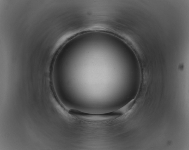 X0000093101422200710101528