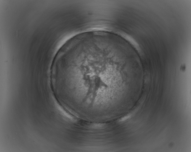 X0000093101423200710101528