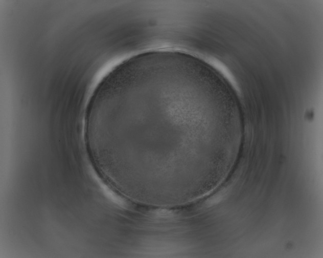 X0000093101424200710101528