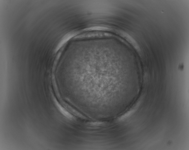 X0000093101425200710101528