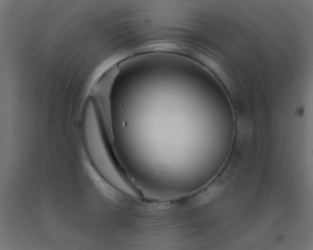 X0000093101426200710101528