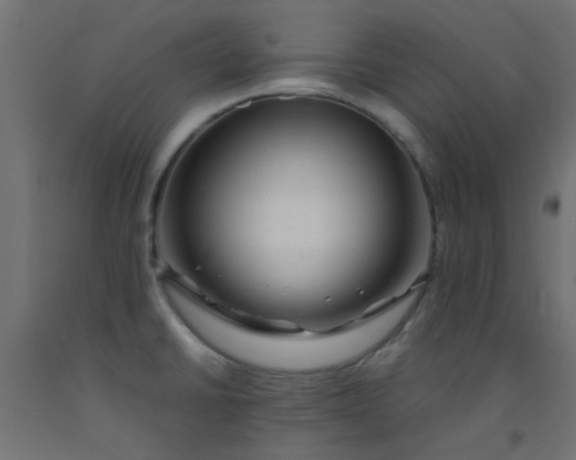 X0000093101430200710101528