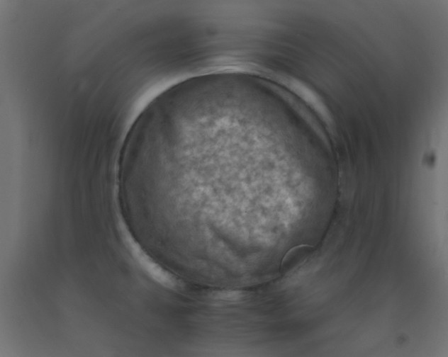 X0000093101431200710101528