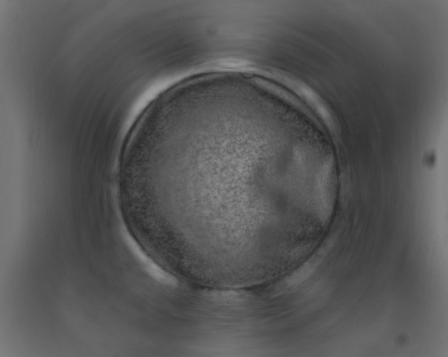 X0000093101432200710101528