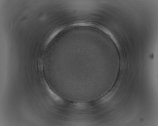 X0000093101433200710101529