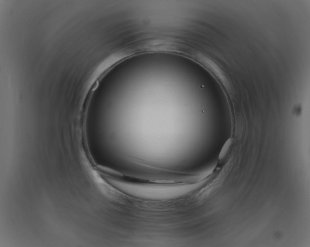 X0000093101434200710101529