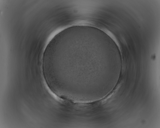 X0000093101437200710101529