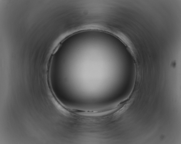 X0000093101438200710101529