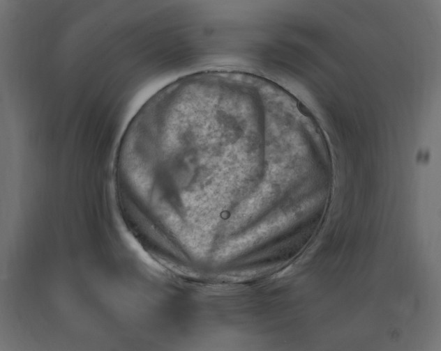 X0000093101440200710101529