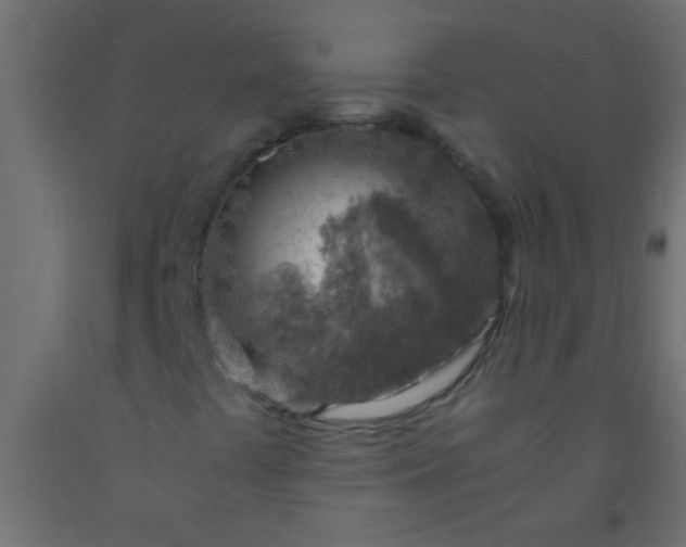 X0000093101441200710101528