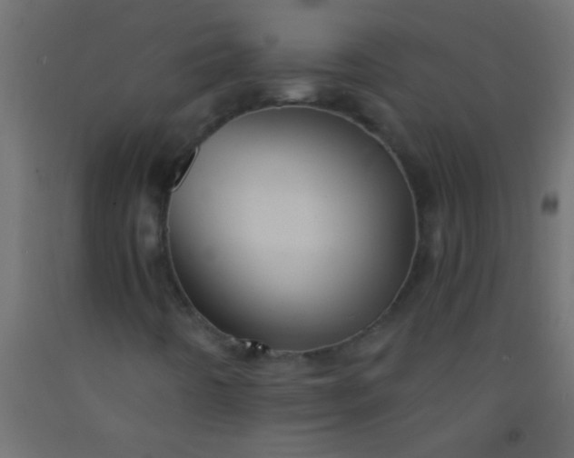 X0000093101442200710101528