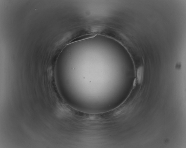 X0000093101443200710101528
