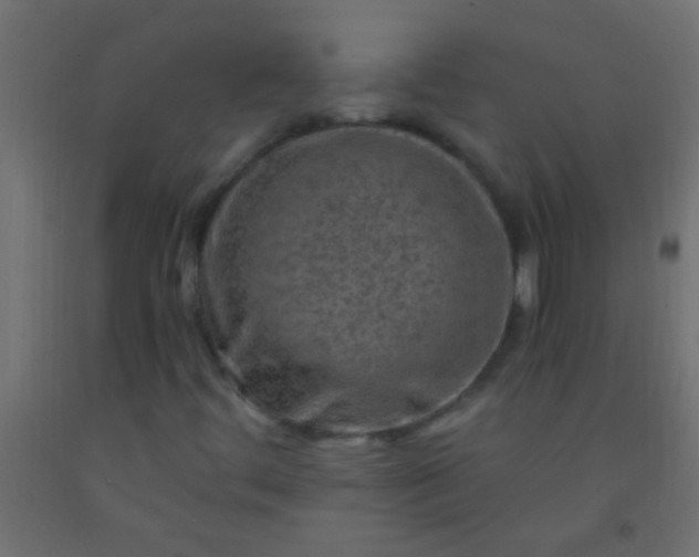 X0000093101444200710101528