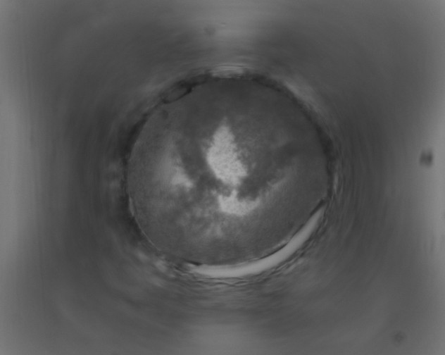 X0000093101445200710101528
