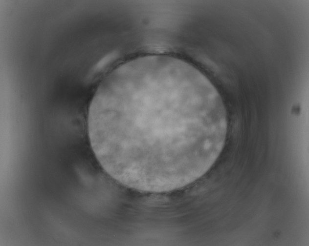 X0000093101446200710101528