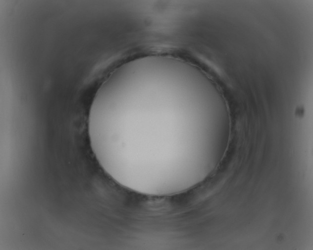X0000093101447200710101528