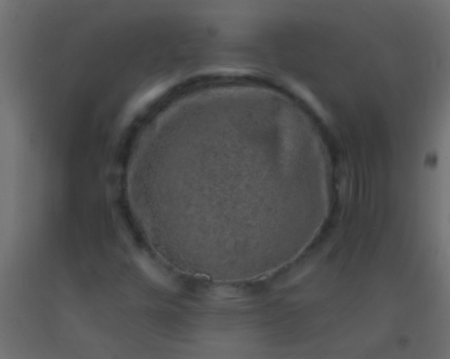 X0000093101448200710101528
