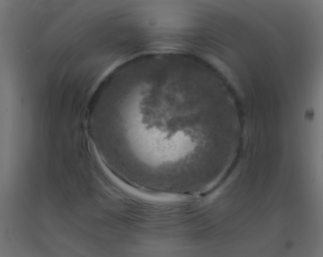 X0000093101449200710101528