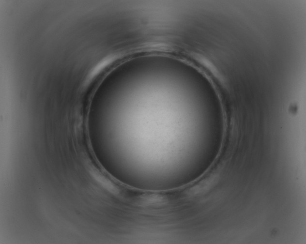 X0000093101450200710101528