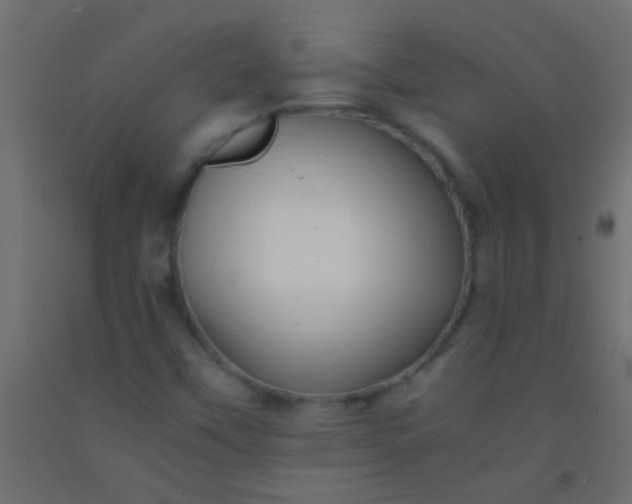 X0000093101451200710101528