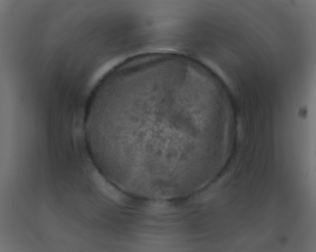 X0000093101452200710101528