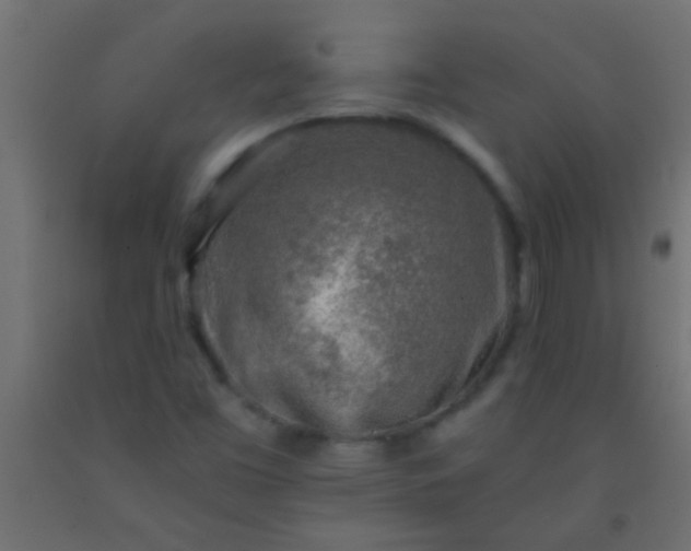 X0000093101453200710101528