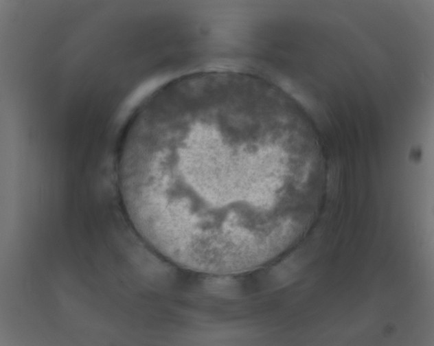 X0000093101454200710101528
