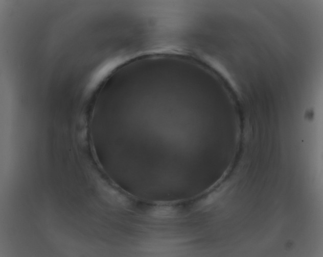 X0000093101455200710101528