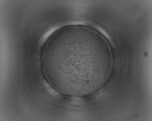 X0000093101456200710101528