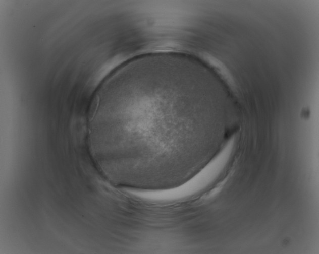 X0000093101457200710101528