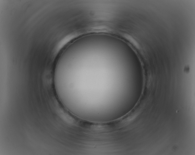 X0000093101458200710101528
