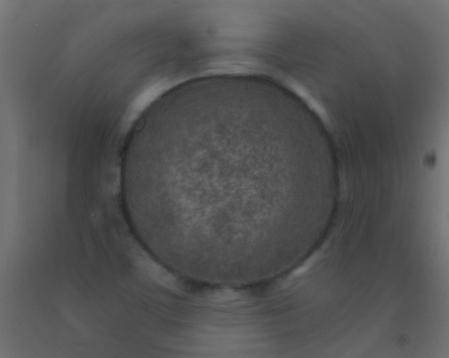 X0000093101459200710101528