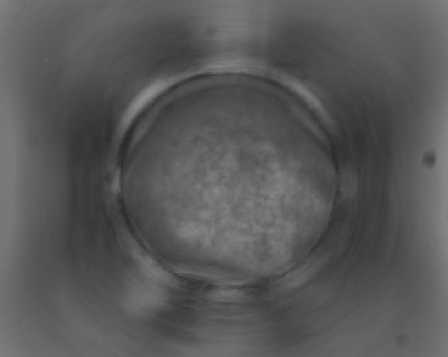 X0000093101462200710101528