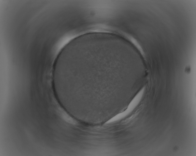 X0000093101463200710101528