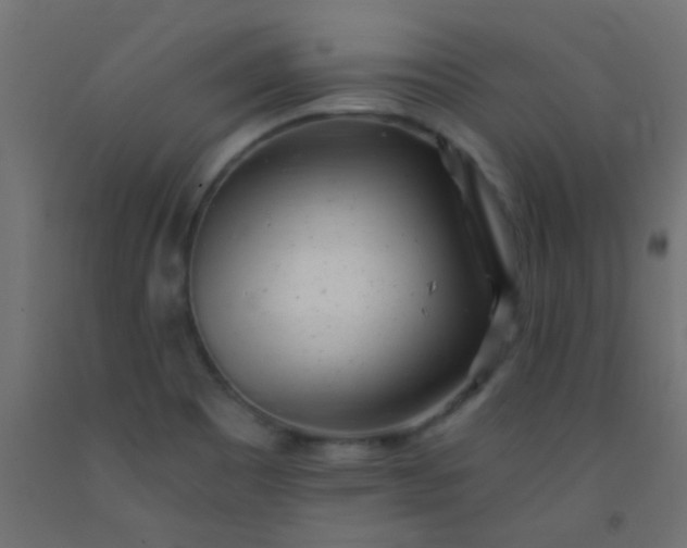 X0000093101465200710101528