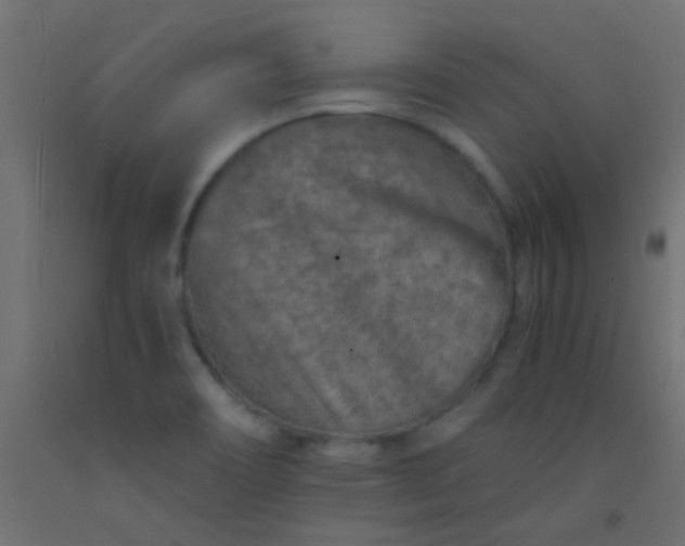 X0000093101466200710101528