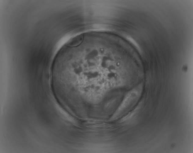 X0000093101467200710101528